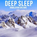 Deep Sleep - Through the Snow