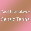 Yusif Mustafayev - Sensiz Tenha