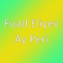 Fuad Eliyev - Ay Peri