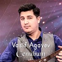 Vasif Agayev - Cenubum