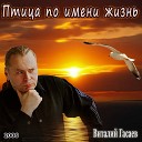 Виталий Гасаев - Одинокая Птица