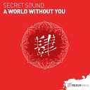 Secret Sound - A World Without You Extended Mix