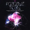 SOBOL - Розовые розы