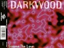 Darkwood - Злая песня