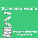 Watermelon Fuq feat Hoper Fuq - Эстетика мозга