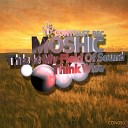 Moshic - This Is My Field Of Sound Original Mix