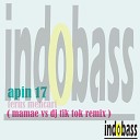 Apin 17 - Terus Mencari Mamae vs DJ Tik Tok Remix