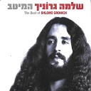 Shlomo Gronich Ktzat Acheret Shlomo Yidov Shem Tov… - Instrumental
