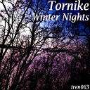 Tornike - Polar Lights