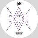 Purple Velvet - Death of the Warehouse Original Mix