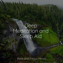 Life Sounds Nature Sleeping Music Spa Zen - Serene Daydream
