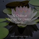Zen Music Garden Relaxamento Exam Study Classical… - Blissful Lakeshore