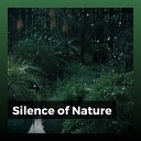 Rain Sounds Nature Collection - Poetry Is as Alluring as the Rainy Day
