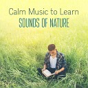 Exam Study Songs Masters - Calm Waves