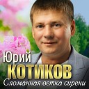 Юрий Котиков - Сломанная ветка сирени