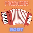 bogt - Forrozin