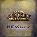 Banda la Plebada Sinaloense - Tragos Amargos feat El Puma De Sinaloa En…