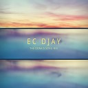 EC DJaY - The Dona s Song Mix