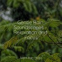 Crying Colic Relief Anxiety Relief White Noise Sound… - Rain in the Gutter
