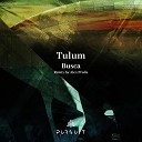 Tulum - Busca