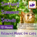 Relaxmycat - Dreamscapes for Cats