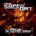 Mein Kopf ist ein brutaler Ort - Ton Steine Sterben