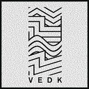 VEDK - Function Disko Matique Remix