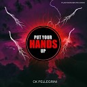 Ck Pellegrini - Put your Hands Up Acapella