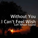 LoFi Moon Sound - Without You I Can t Feel Wish