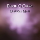 David G Cross - Critical Mass