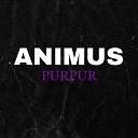 Animus - Purpur