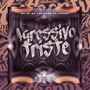 DJ Ivanzk feat MC 2D mc flavinho - Agressivo Triste