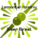 Lomanter Fandrix - Sleep Forest Radio Edit