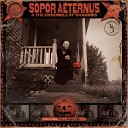 Sopor Aeternus The Ensemble Of Shadows - You can always play on your own