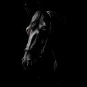 Overkeel - Черный конь