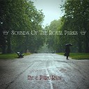 Sounds Of The Royal Parks - Nighttime Rain In Hyde Park
