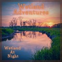 Wetland Adventures - Rainy Birdy Woodland
