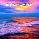 Soft Music Yoga Meditation - Relaxing Music Pt 11