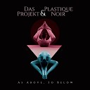 Das Projekt Plastique Noir - Dream Never Ends Cover