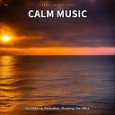 Soft Music Instrumental Ambient - Calm Music Pt 11