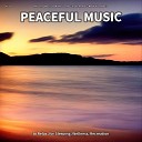 Relaxing Music by Malek Lovato Instrumental Meditation… - Peaceful Music Pt 48