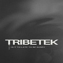 Tribetek - Is It to Late to Be Sorry
