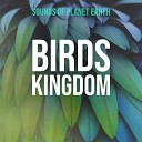 Sounds of Planet Earth - Sleepy Heavy Constant Rain and Crows Sounds