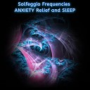 Emiliano Bruguera - Instant Relief from Anxiety 528 Hz Solfeggio…