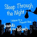 John McClung - All Through the Night Sounds of the Womb