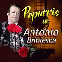 Antonio Bribiesca - Popurri 4 Traicionera Vereda tropical