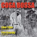 Libor Fi er Petr Dvorsk - A Day in the Life of a Fool