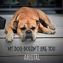 Aristal - My Dog Doesn t Like You