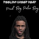 Big Polar Boy - Feeling Chief Keef