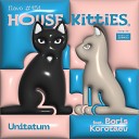 House Kitties feat Boris Korotaev - Unitatum Extended Mix